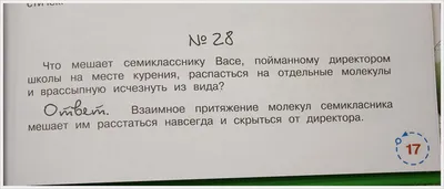 5 Смешных заданий по Физике, которые сильно отличаются от тех, что задают в  школе | Заметки молодого отца | Дзен