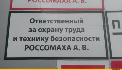 но тут кончается искусство и дышат почва и зюзьга (Лес Густой) / Стихи.ру