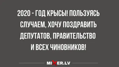 Один день из жизни Деда Мороза. Ольга Дворнякова - «? А вы знаете, как  проходит подготовка к Новому году у Деда Мороза и его помощников? А мы  теперь знаем! ? Новогодний виммельбух \"