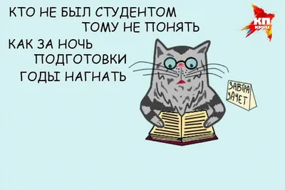 Книга Как зайчата Новый год встречали. Адвент-путешествие - купить детской  энциклопедии в интернет-магазинах, цены на Мегамаркет |