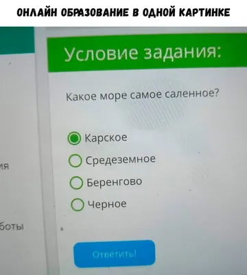 KIMEX Uzbekistan - Веселые и смешные, уютные и теплые, поднимающие  настроение, приятно согревающие в непогоду – домашние тапочки. Один из  главных атрибутов тихой, семейной гавани! 😍 ☑️ KIMEX Uzbekistan – зимняя,  домашняя