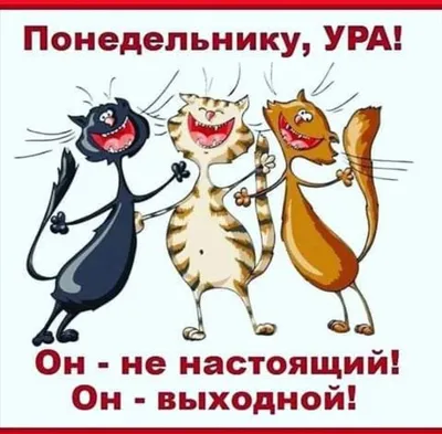 Открытки открытки на понедельник открытки с пожеланиями легкого пон...