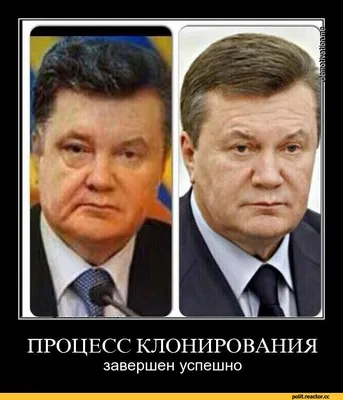 янукович и порошенко. / смешные картинки и другие приколы: комиксы, гиф  анимация, видео, лучший интеллектуальный юмор.