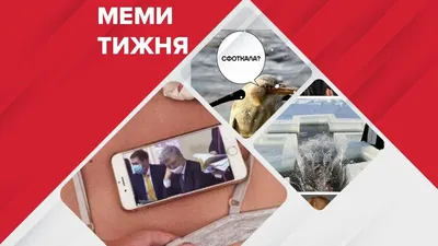 Зеленский и Порошенко - прикольные мемы и смешные Видео о дебатах – Люкс ФМ