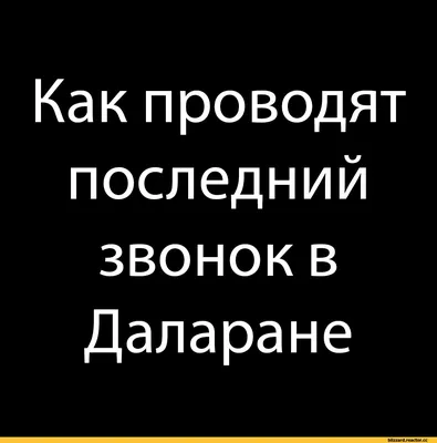 последний звонок / смешные картинки и другие приколы: комиксы, гиф  анимация, видео, лучший интеллектуальный юмор.