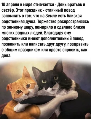 Анекдоты про мужчин: 50+ смешных свежих шуток о представителях сильного пола