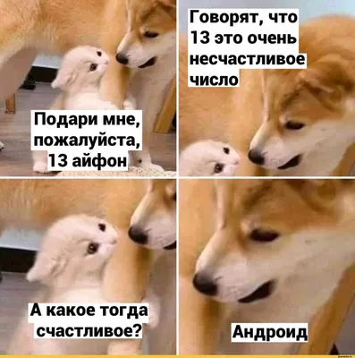 г Подари мне, пожалуйста, 13 айфон - Ы А какое тогда счастливое?! Говорят,  что 13 это очень / андроид :: смартфон :: айфон :: смешные картинки (фото  приколы) / смешные картинки