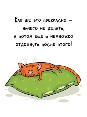 Девушка в деле: Алла Брулетова о том, как открыть собственный бренд в 21  год, совмещать карьеру и личную жизнь и быть в форме