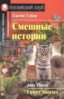 12 книг, книга для чтения на английском языке, одна история в день для  начинающих, 365 рассказов из повседневной жизни по всему миру, смешные  сказки, искусственные | AliExpress