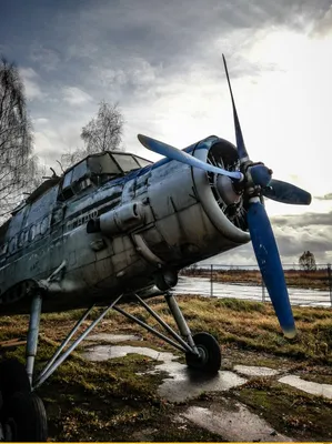 Смешной винтажный пилот авиатора, собака, авиация Стоковое Изображение -  изображение насчитывающей носить, марочный: 146873237