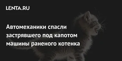 Вафельная Картинка Автомеханик — Купить на BIGL.UA ᐉ Удобная Доставка  (1741822390)