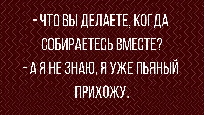 Шах и мат, трезвенники! / водка :: бухло :: здоровый образ жизни ::  здоровье :: алкоголь / смешные картинки и другие приколы: комиксы, гиф  анимация, видео, лучший интеллектуальный юмор.