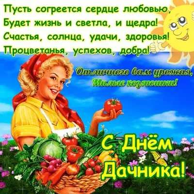 Дачные радости