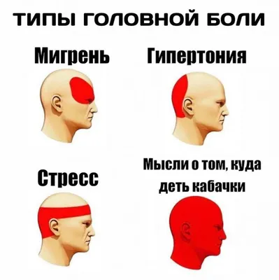 Речной песок, дачный помощник «Вонючка», недорогие семена продаются в  Петрозаводске | Фактор - новости Карелии