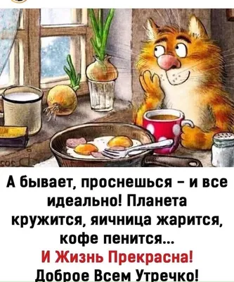 ДЕРЕВНЯ МОЯ 🍁🍁🍁 — Разное | OK.RU | Смешные цитаты про утро, Смешной  кофе, Доброе утро