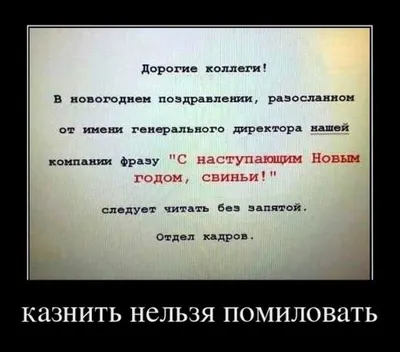 Тема «Анекдоты и смешные истории» | Смешно, Цитаты, Смешные мотивационные  цитаты