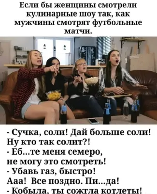 Смешные, позитивные фото кошек. Коты, которые рассмешат каждого 😂.  Интересная информация про кошек | Все про кошек | Дзен