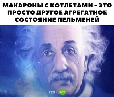 А какая капибара вы? Если вы тоже любите пересылать смешные картинки  друзьям со словами «о, это ты!», то очевидно эта первоапрельская… |  Instagram