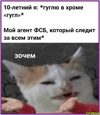 Стало известно о возможных перестановках в ФСБ России: Полиция и  спецслужбы: Силовые структуры: Lenta.ru