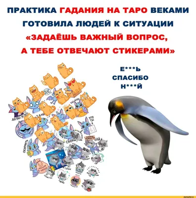 ПРАКТИКА ГАДАНИЯ НА ТАРО ВЕКАМИ ГОТОВИЛА ЛЮДЕЙ К СИТУАЦИИ «ЗАДАЁШЬ ВАЖНЫЙ  ВОПРОС, А ТЕБЕ ОТВЕЧАЮТ / стикеры :: картинка с текстом :: Карты таро  (Tarot, Таро, Карты таро) :: интернет / смешные