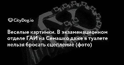 Мультфильм медведя смешной гаишник Иллюстрация вектора - иллюстрации  насчитывающей его, дети: 111998300