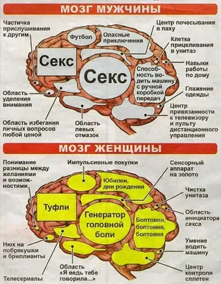 Смешные картинки с надписями прикольные шуточные про людей до слез