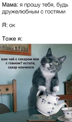 Смешные картинки про гостей