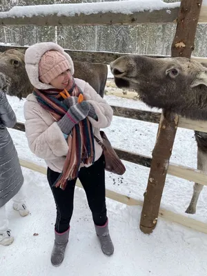 Забавный эластичный растягивающийся липкий Мужской Скелет Череп пауки  скалолазание сложные руки гаджеты прикольные игрушки для украшения на  Хэллоуин | AliExpress