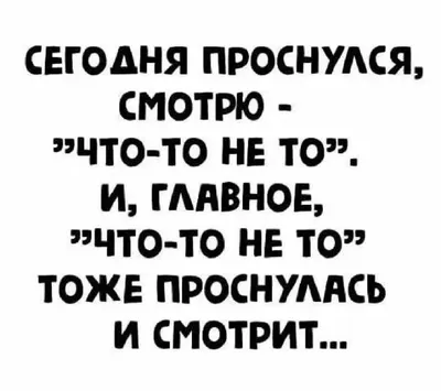 Яна прости я не уследил ¡;44 Аххахаха 15;46^ Ахаха 15:46^ Аххахахаха 15:46^  АХАХХАХА 15:46^ Х / картинка с текстом :: салат :: шерстяной пидорас :: кот  / смешные картинки и другие приколы: комиксы, гиф анимация, видео, лучший  интеллектуальный юмор.