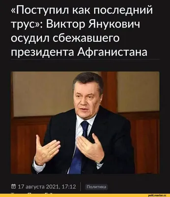 янукович / смешные картинки и другие приколы: комиксы, гиф анимация, видео,  лучший интеллектуальный юмор.