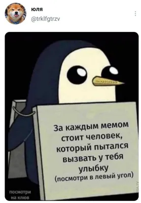 on X: \"Ольга Шарий: «Апофеоз тупости - это в день когда называют заказчиков  убийства Гандзюк, селюки вылазят на акцию протеста к ОП под  предводительством Стерненко с вопросом: \"Кто убил Катю Гандзюк?\".