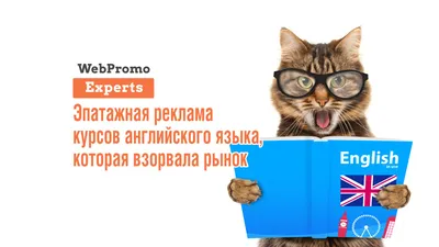 Странная и интересная реклама курсов английского языка - блог  Webpromoexperts