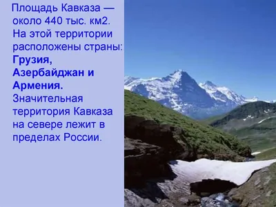 Толстый Смешной Кавказской Женщины Практикующих Йогу Смотреть Онлайн Урок  На Ноутбуке — стоковая векторная графика и другие изображения на тему  Активный образ жизни - iStock