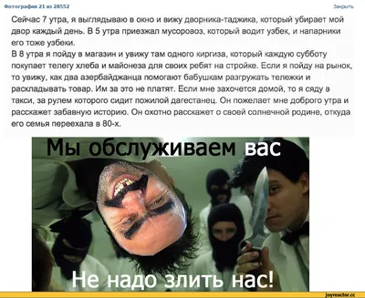 Смешные картинки про хачей