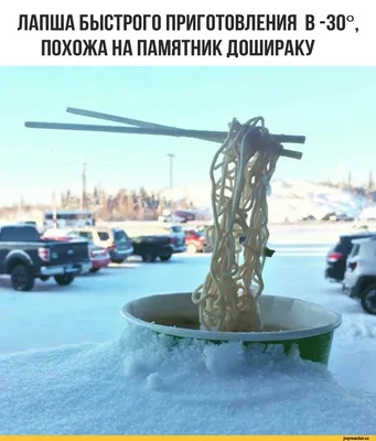 ЛАПША БЫСТРОГО ПРИГОТОВЛЕНИЯ В -30°, ПОХОЖА НА ПАМЯТНИК ДОШИРАКУ / Лапша ::  холод :: смешные картинки (фото приколы) / смешные картинки и другие  приколы: комиксы, гиф анимация, видео, лучший интеллектуальный юмор.