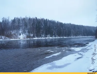 Смешная картинка про октябрь — Бесплатные открытки и анимация