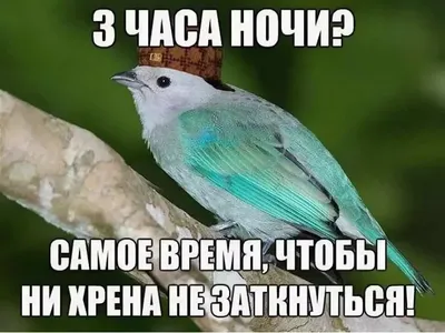 Ходил к девчонкам на @zhenski_forum Красивые, смешные, талантливые и я.  Выпуск уже в ВК видео, приятного просмотра🤍 📸 @shlnch | Instagram