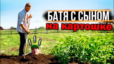 копка картошки песня под видео｜Поиск в TikTok