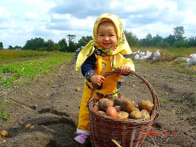 Звоните нам: тел. 2 08 65, 2 42 96. Пишите нам: ул. Красноармейская, д. 1,  vestnik52@yan