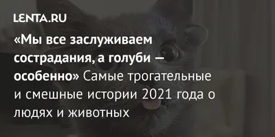 Прикольные картинки ❘ 25 фото от 18 октября 2023 | Екабу.ру -  развлекательный портал