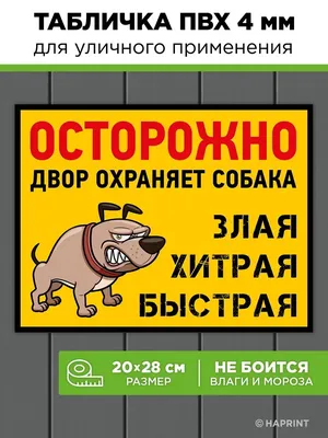 СОБАКА, КОГДА ЧТО-ТО НАТВОРИЛА: ЧУВСТВУЕТ ВИНУ, СТЫДИТСЯ, ПЫТАЕТСЯ  ИЗВИНИТЬСЯ КОТ, КОГДА ЧТО-ТО НА / кот :: мем / смешные картинки и другие  приколы: комиксы, гиф анимация, видео, лучший интеллектуальный юмор.