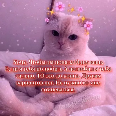 Первая четверть