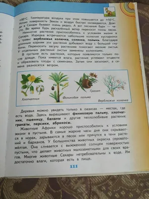 С Днем «Сделай что-нибудь»! Прикольные картинки и и стихи в праздник 4  марта | Курьер.Среда | Дзен