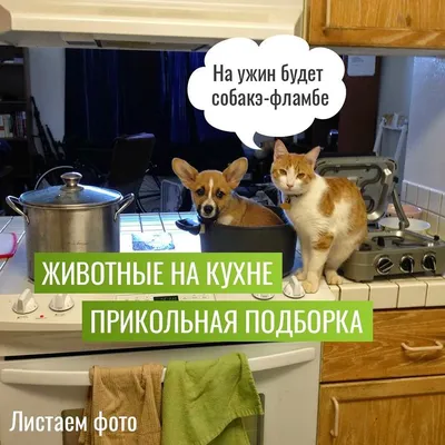 Смешные персонажи. Японская кухня Векторное изображение ©Katya_Bra 76776027