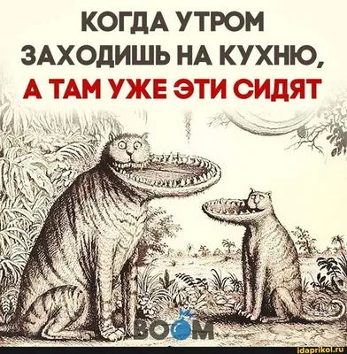 КОГДА УТРОМ ЗАХОДИШЬ НА КУХНЮ, А ТАМ УЖЕ ЭТИ СИДЯТ - Такого вы еще не  видели :) / АйДаПрикол :) | Смешные таблички, Смешные рисунки, Фотография  юмор