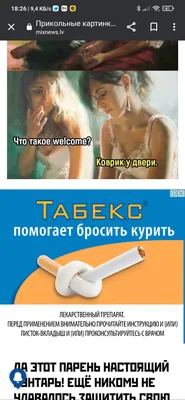 Чайка Моряк В Полосатый Вест Курение Труба Смешные Птица Мультфильм  Характер С Усами Вектор Иллюстрация — стоковая векторная графика и другие  изображения на тему Матрос - iStock