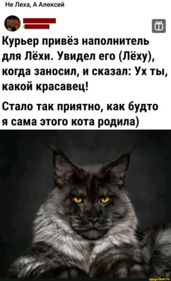 Луч света в темной коммуналке, Дарья Калинина – слушать онлайн или скачать  mp3 на ЛитРес