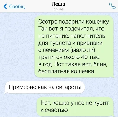 ФУТБОЛКА \"ЛЁШАДЬ\" by @SLOVODNA