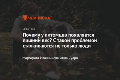 марафон / смешные картинки и другие приколы: комиксы, гиф анимация, видео,  лучший интеллектуальный юмор.