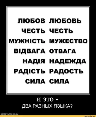 1 ЛЮБОВ ЛЮБОВЬ 1 1 ЧЕСТЬ ЧЕСТЬ 1 1 МУЖШСТЬ МУЖЕСТВО 1 □ В1ДВАГА ОТВАГА 1 □  НАД1Я НАДЕЖДА □ 1 РАД / смешные демотиваторы (ДЕЙСТВИТЕЛЬНО СМЕШНЫЕ новые  лучшие демотиваторы со